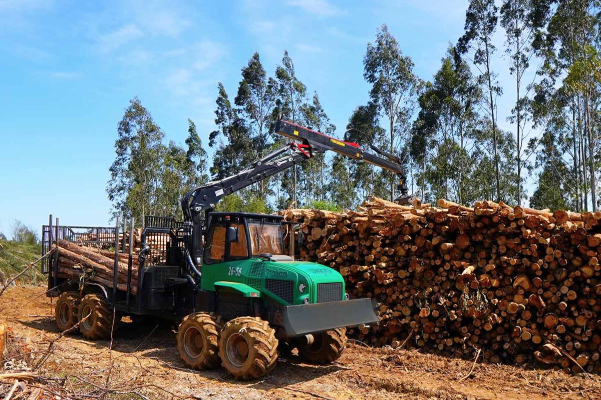 DINGO AUTOCARGADOR FORESTAL AD-2656-1